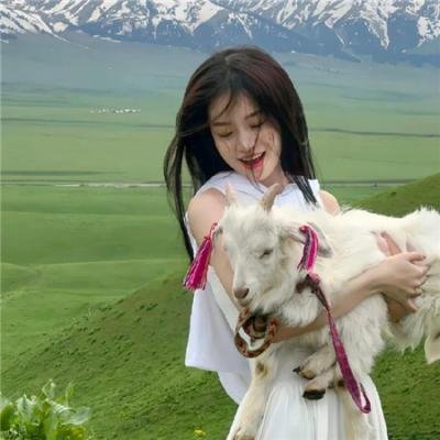 完美房子