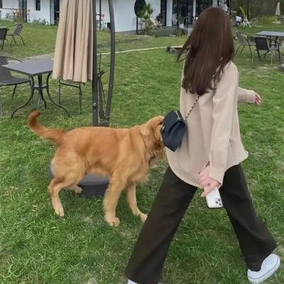 烽火无间