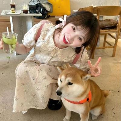 东京狂想曲